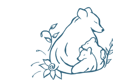 Bear - White Background